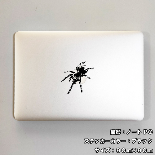 スパイダー ステッカー 01 全26色 5サイズ クモ くも 蜘蛛 傷隠し
