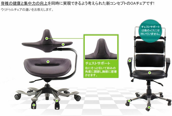 アイポールチェア iPole7 牛皮タイプウリドルチェア Wooridul