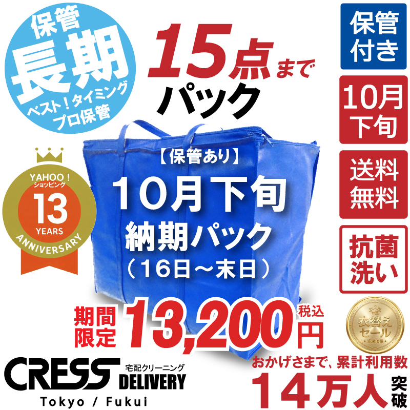 クリーニング 宅配 保管 15点まで 詰め放題 宅配クリーニング 送料無料