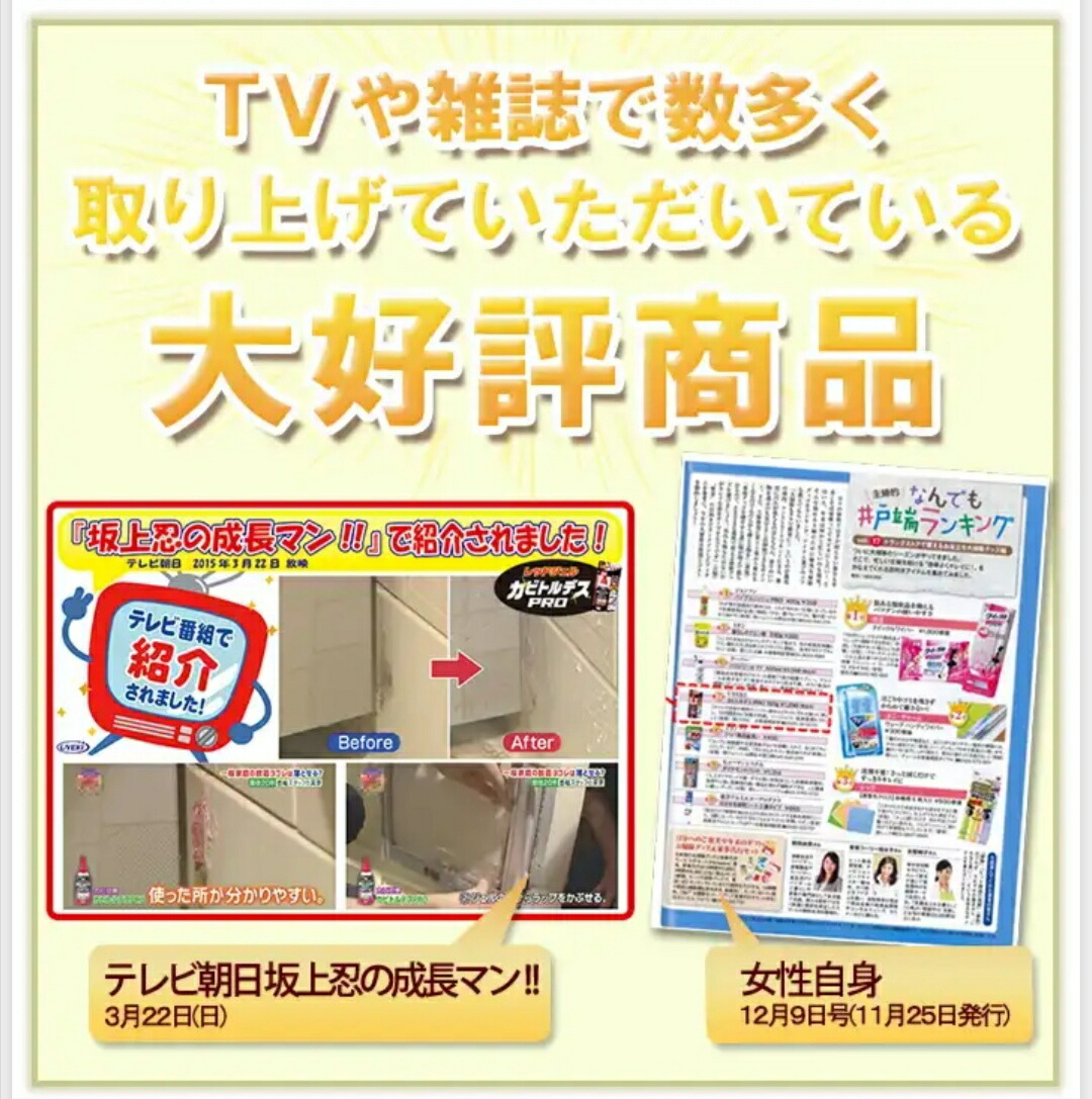 カビトルデス PRO 業務用 300g ゴムパッキン カビ取り 臭いきつくない