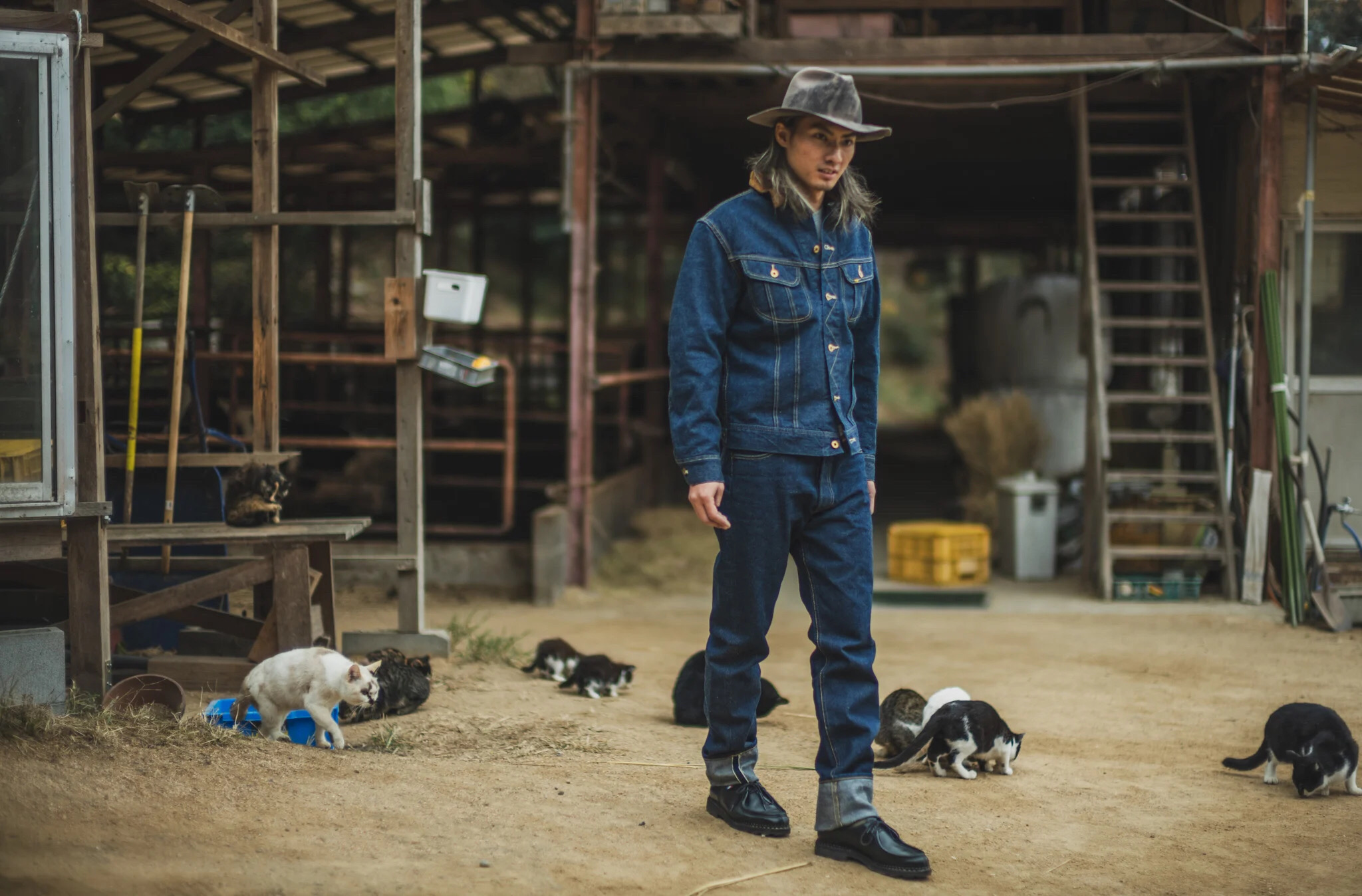 TCB jeans “Cats Drive Jeans” : crossover.co - 通販 - Yahoo
