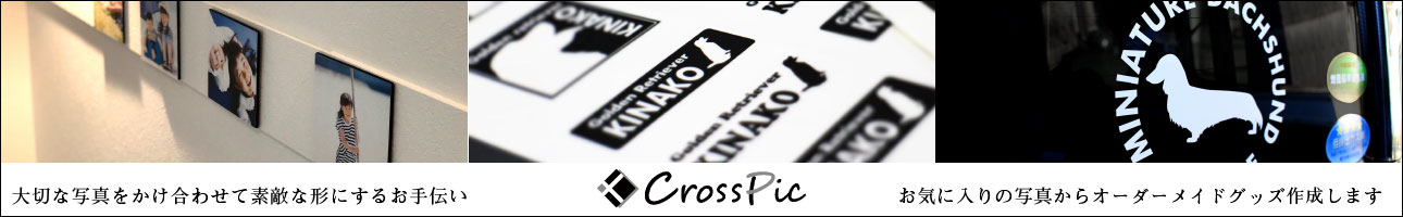 CrossPic ヘッダー画像