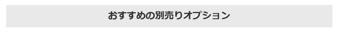 おすすめの別売りオプション