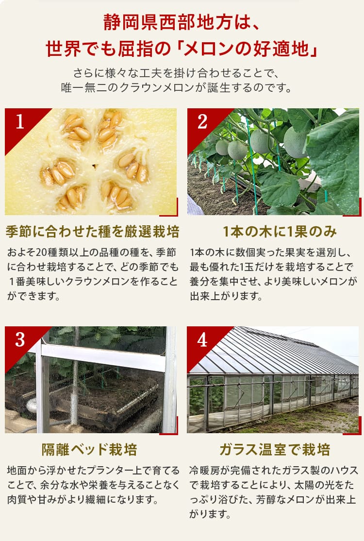 【母の日ギフト】【送料無料】クラウンメロン 山等級 1.3kg前後 1玉 化粧箱入 静岡県産 高級フルーツギフト |  | 06