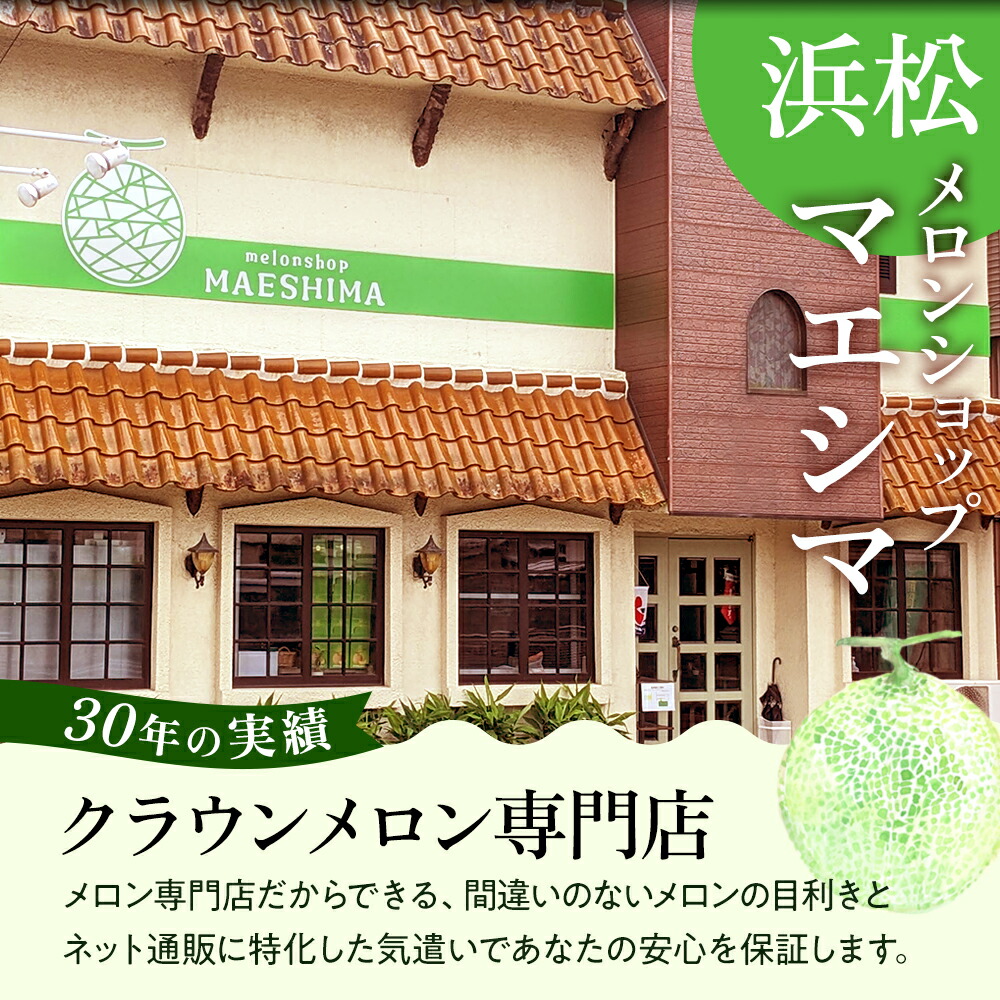 クラウンメロン 白等級 1.3kg前後 2玉 静岡県産 |  | 04