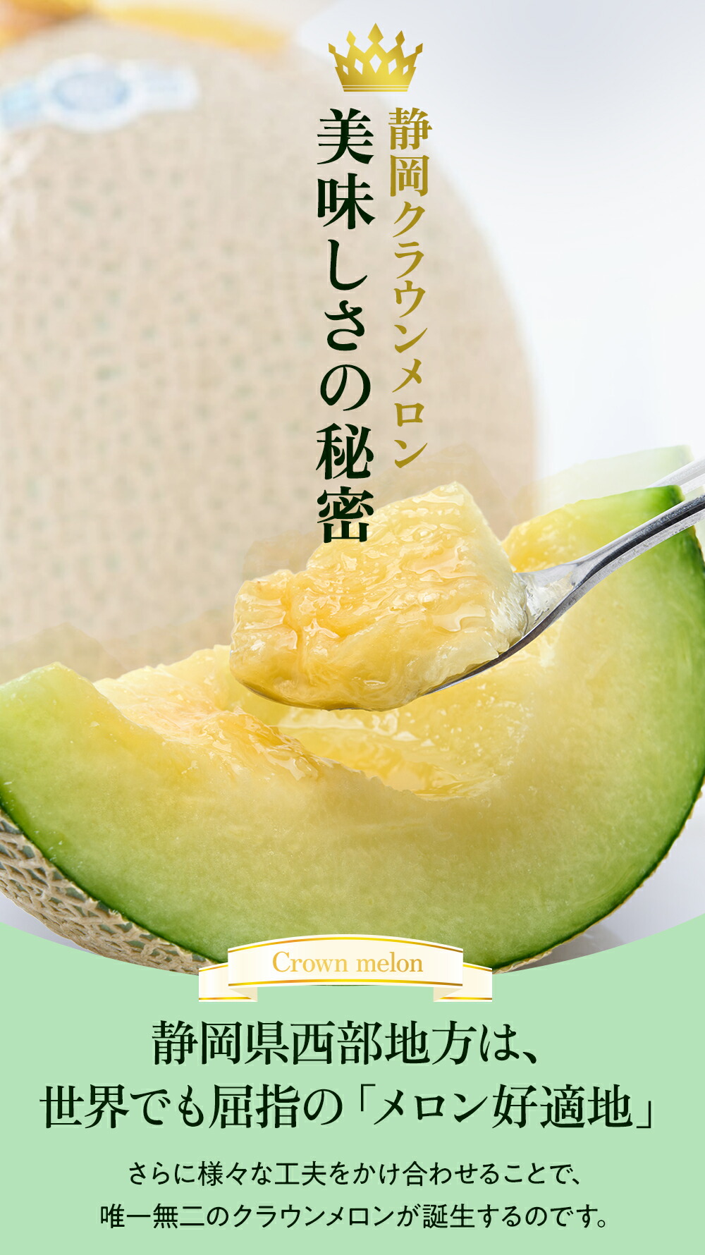 クラウンメロン 白等級 1.3kg前後 2玉 静岡県産 |  | 11