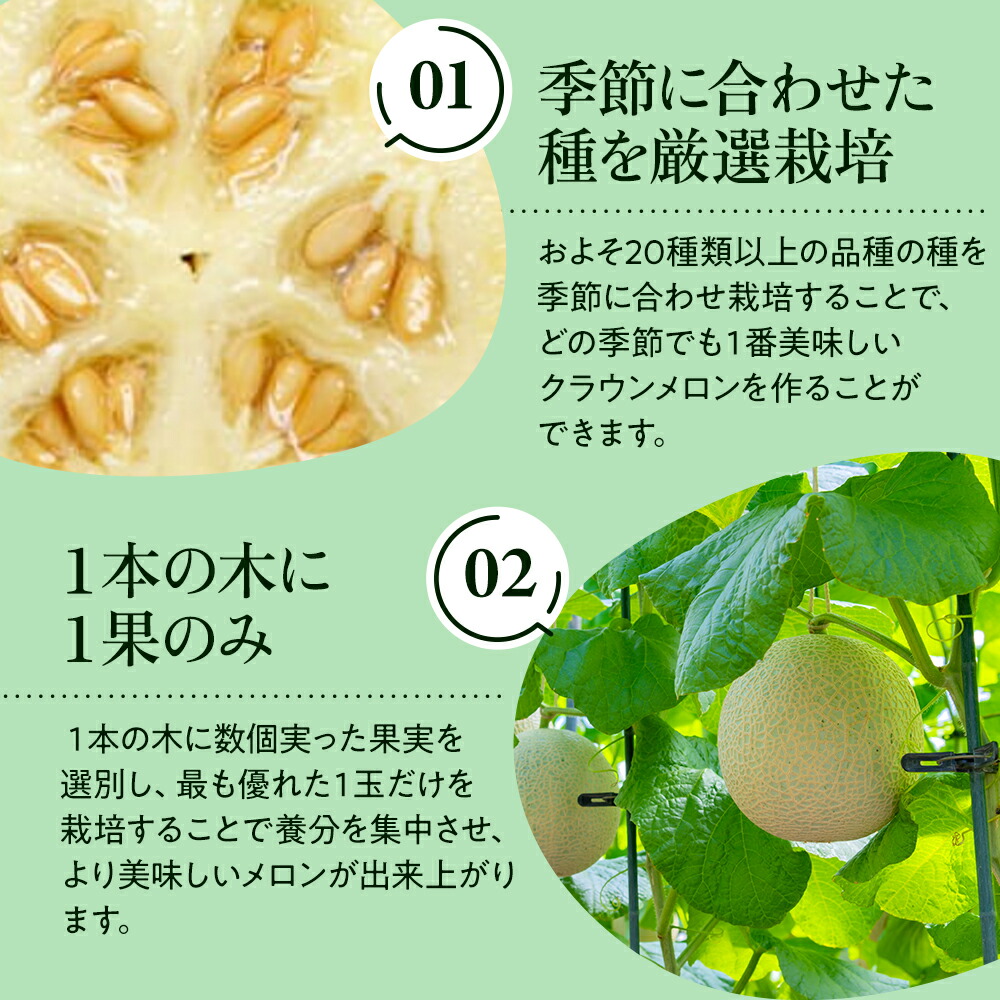 クラウンメロン 白等級 1.3kg前後 2玉 静岡県産 |  | 12