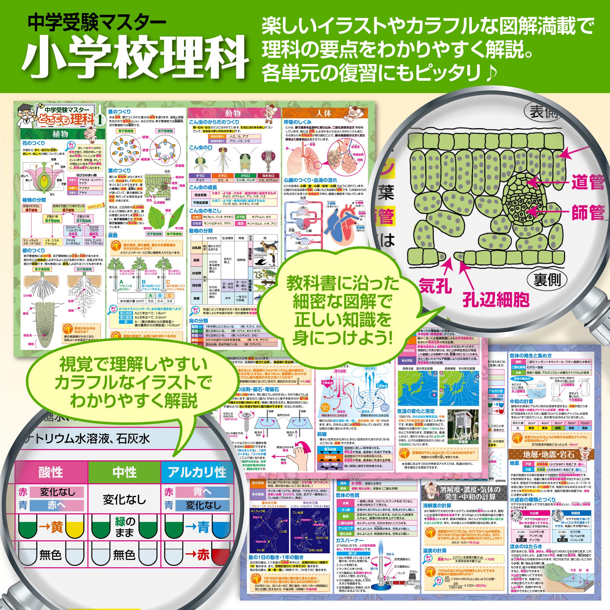 お風呂の学校 セット価格 中学受験マスター理科/元素周期表 お風呂ポスター2種類セット 日本製 理科 化学 学習 知育 社会 B3サイズ 防水 関連画像2