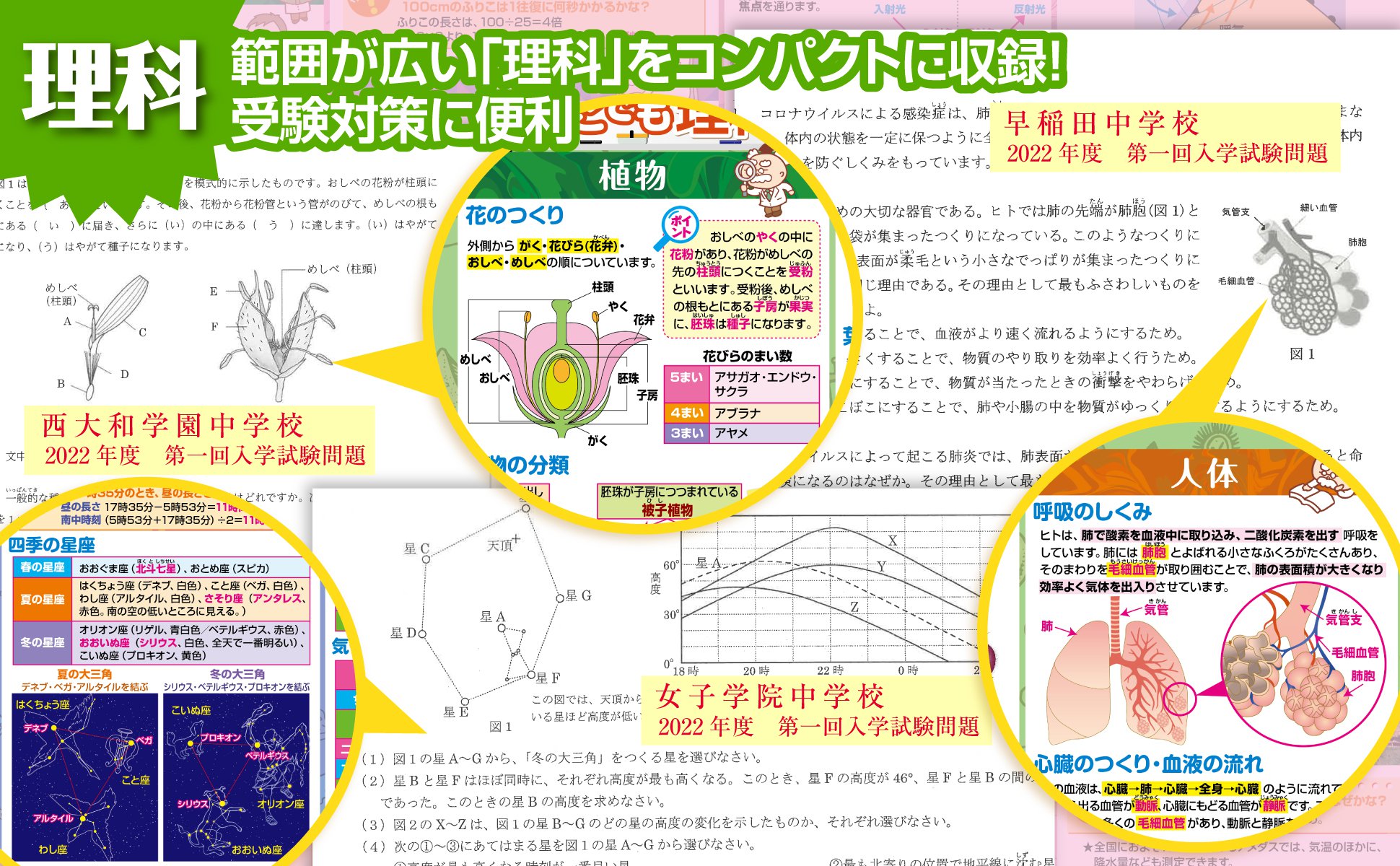 お風呂の学校 セット価格 中学受験マスター理科／公民 お風呂ポスター