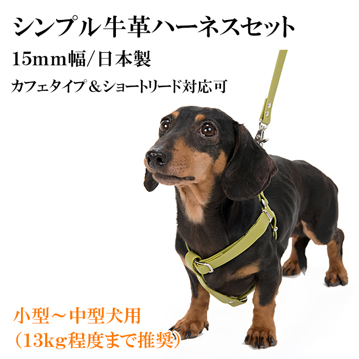 ハーネス 犬 おしゃれ 安全帯 小型犬 中型犬 シンプル革ハーネス１５mm