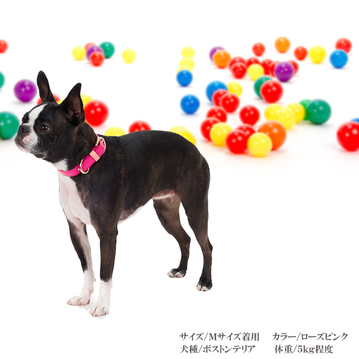 犬首輪おしゃれ革小型犬中型犬犬首輪犬の首輪いぬ犬首輪おしゃれ革中型犬犬首輪犬の首輪シンプルレザー首輪 代購幫