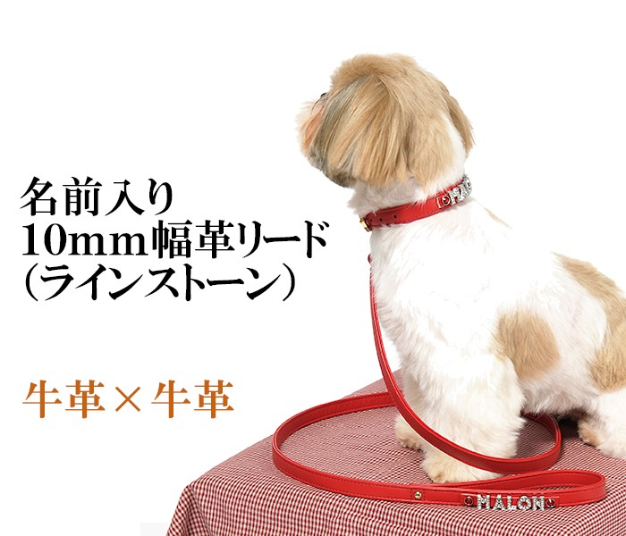 犬 リード 名前入り おしゃれ 革 レザー 小型犬 中型犬 名入れ カフェタイプリード ラインストーン10m幅リード