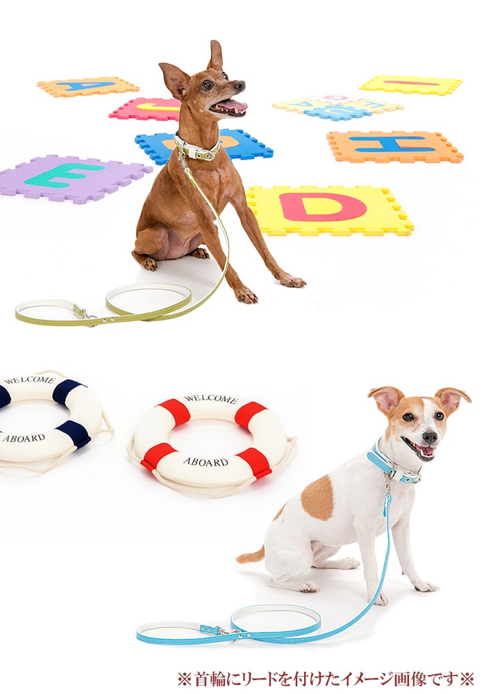 あおページ　中型犬用首輪とロングカフェリード　ホワイト×サンド crystalpoint_lead080