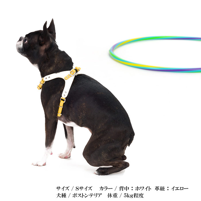 ドッグハーネスx1 首輪x2 リードx3 6点セット☆。+* ドッグハーネスx1