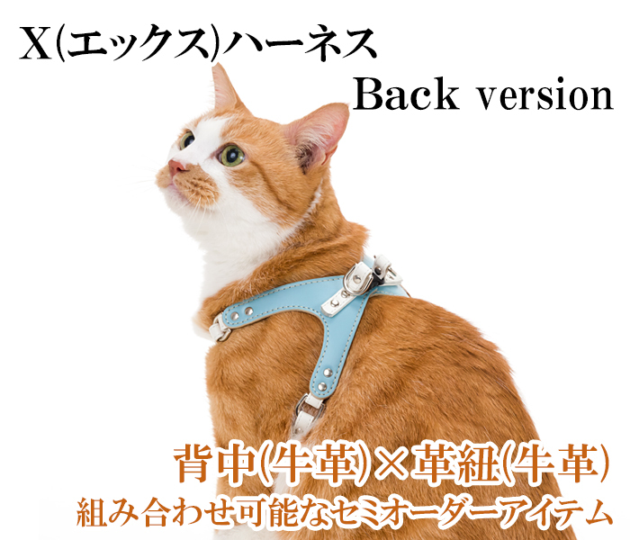 xhanes10ex-neko-main100.jpg