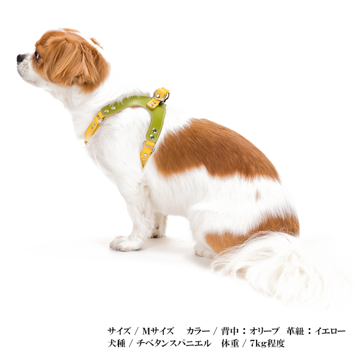 小動物ハーネスオーダー受け付け 小動物用品