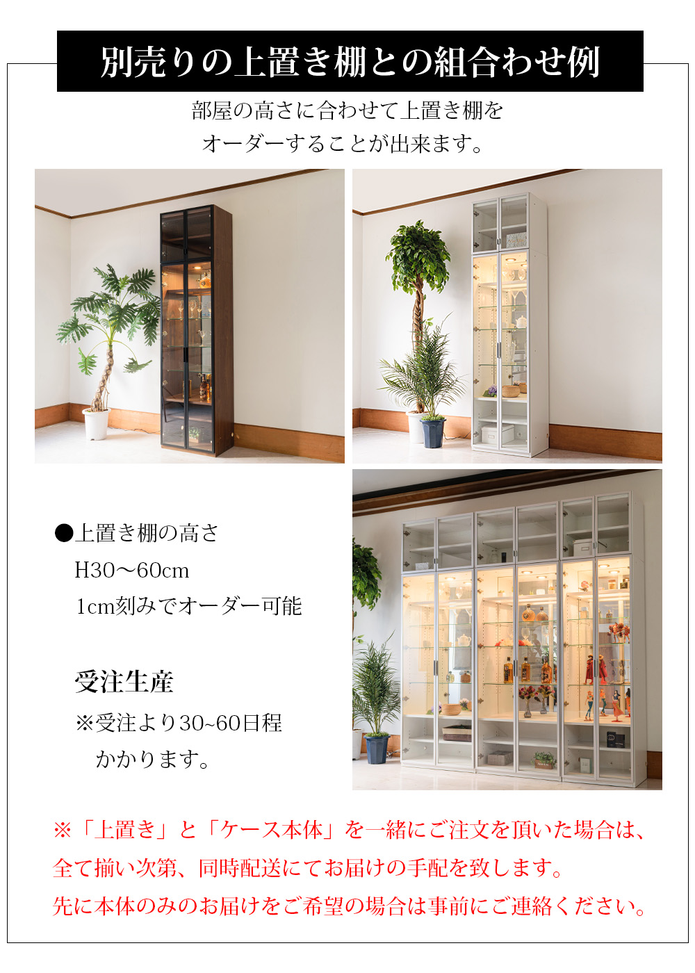 高級 コレクションボード 壁面収納 ガラスキャビネット ガラスケース キュリオケース