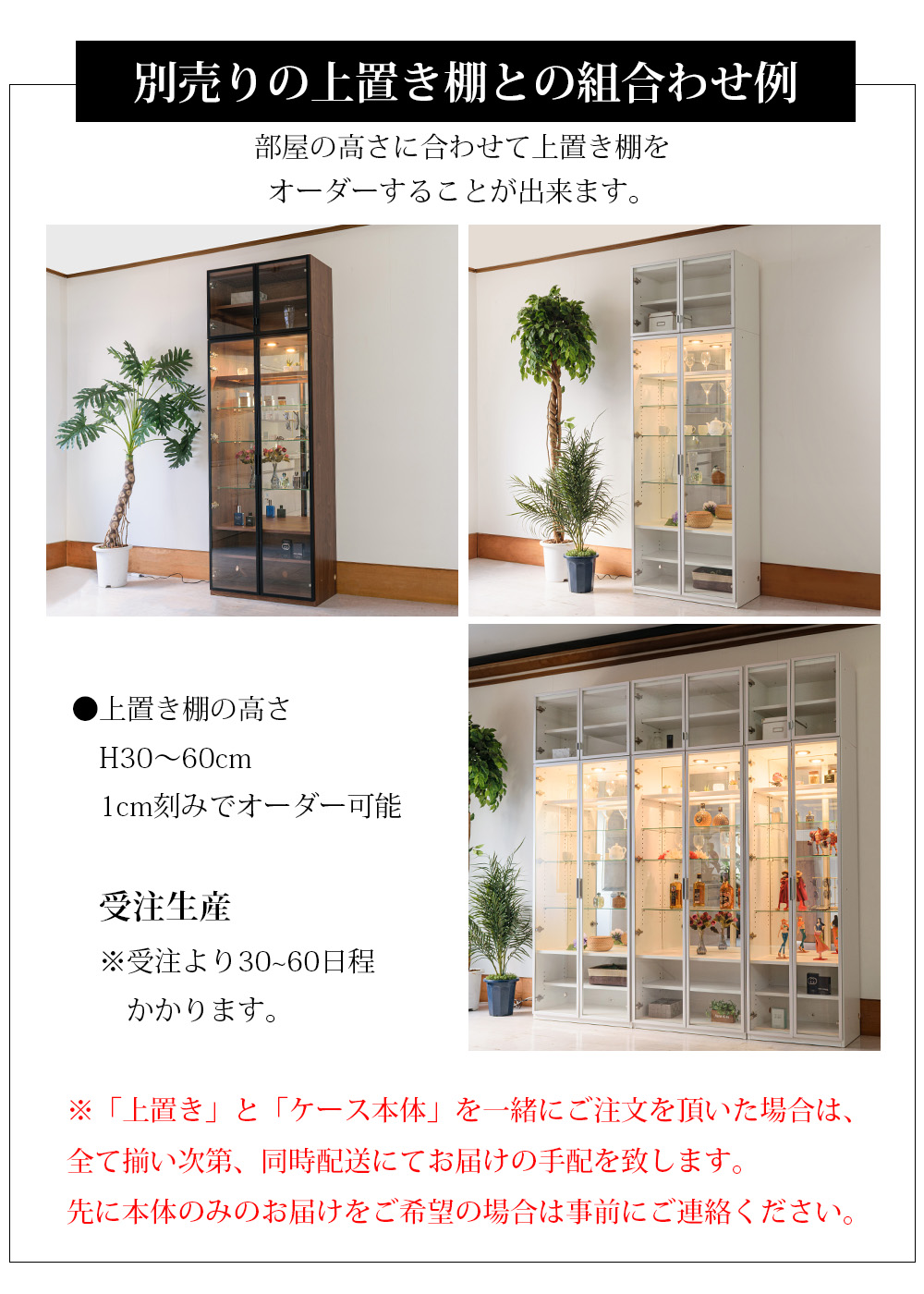 高級 コレクションボード 壁面収納 ガラスキャビネット ガラスケース キュリオケース