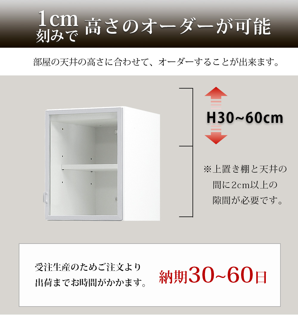 高級 コレクションボード 上置き 壁面収納  ガラスケース キュリオケース