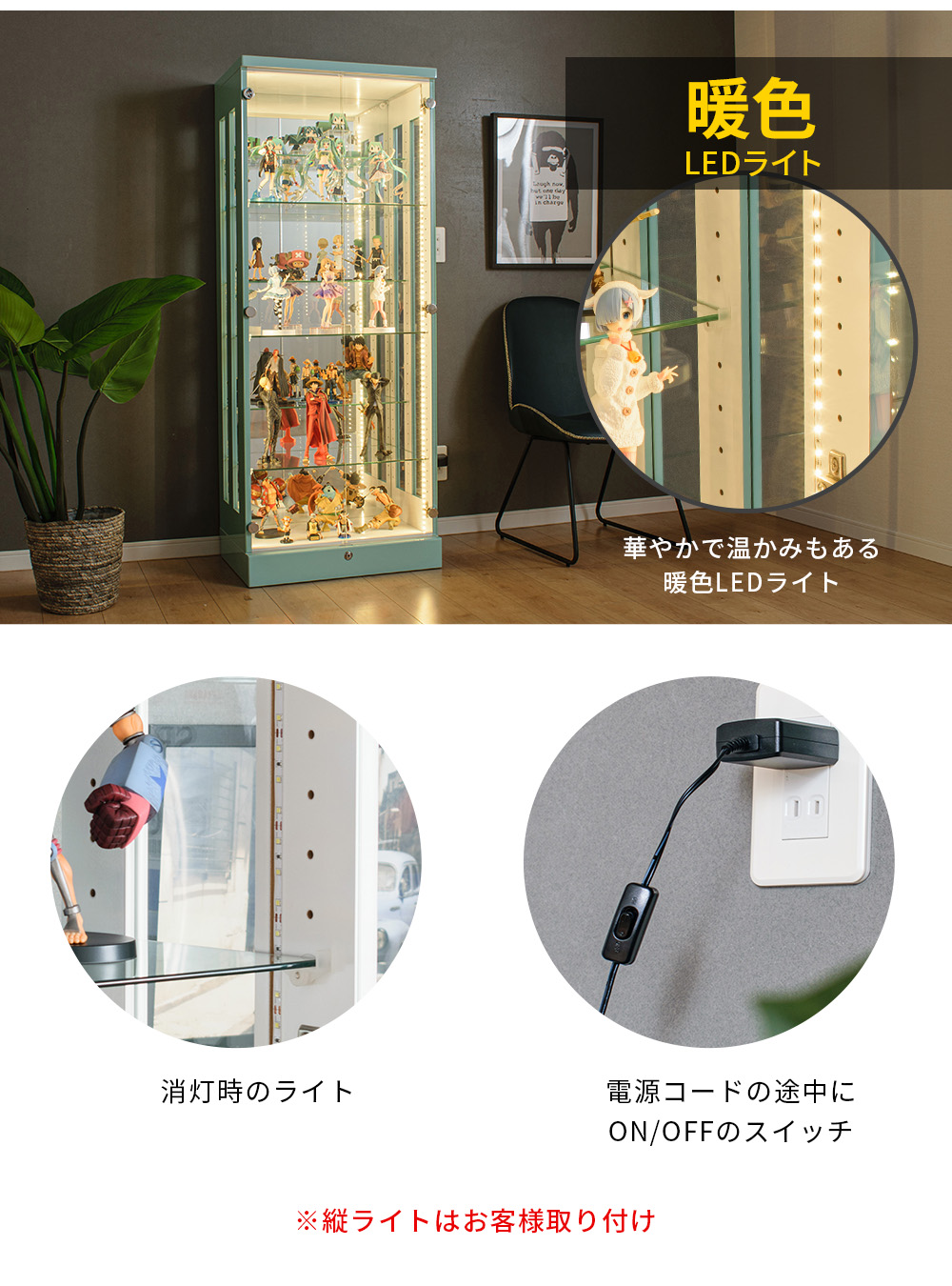 With Plan コレクションケース 段差式 60 大型 コレクション