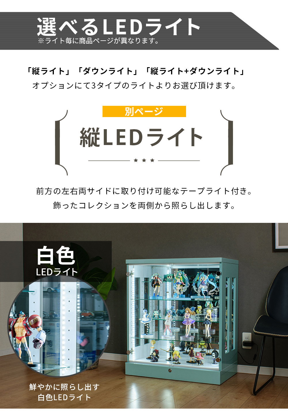 With Plan（ウィズプラン） コレクションケース 段差式 75 大型