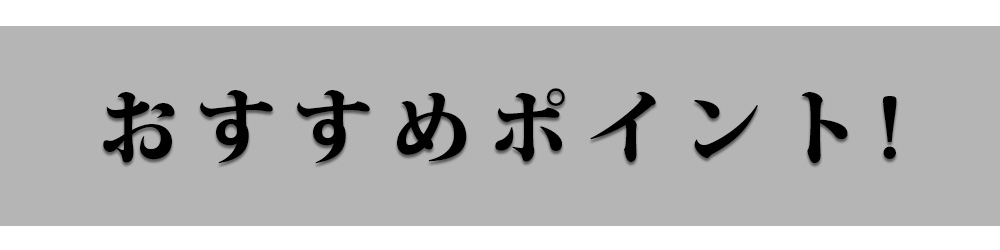 おすすめポイント