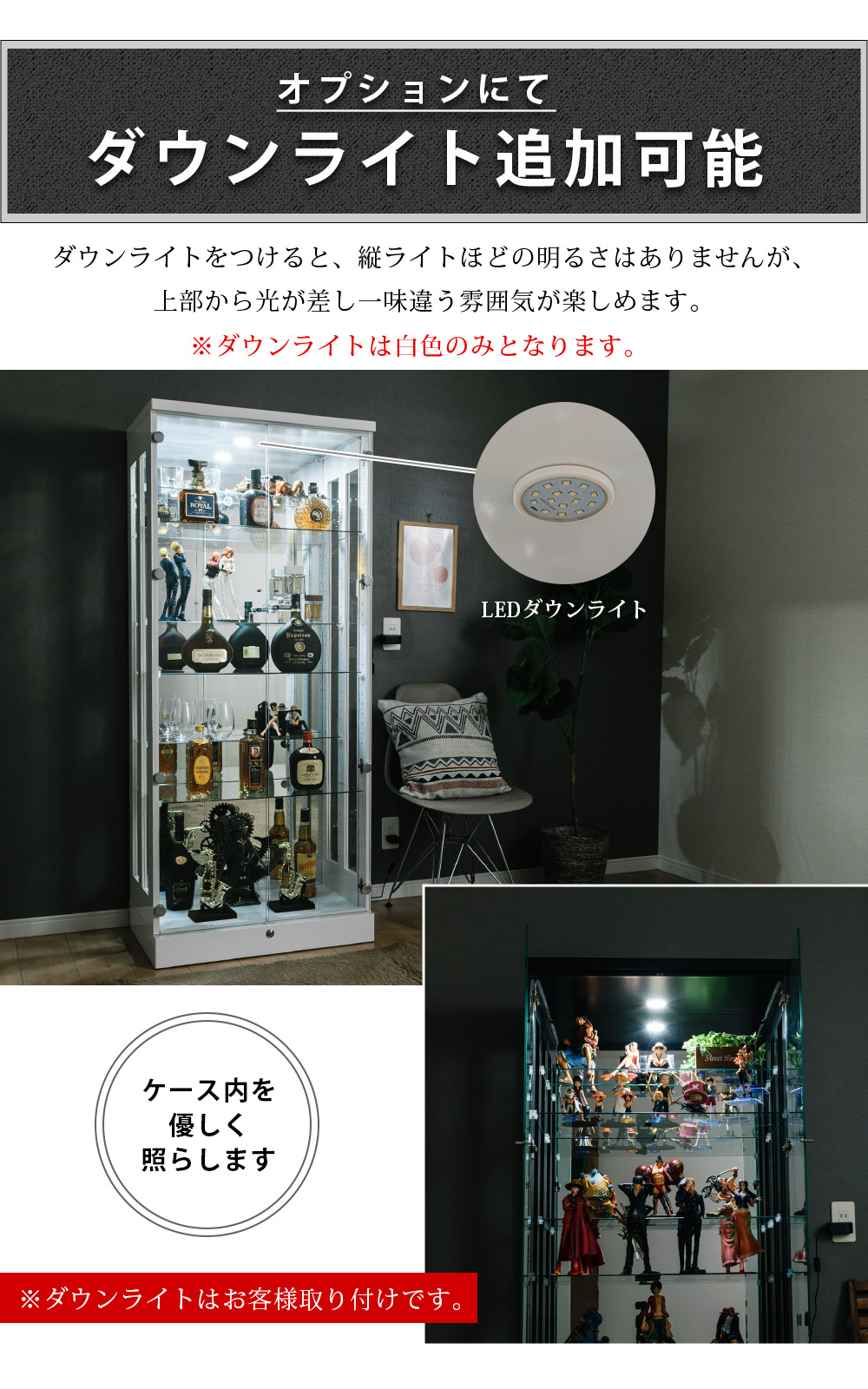ダウンライト 追加可能 オプション