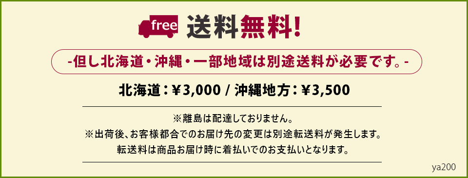 追加送料