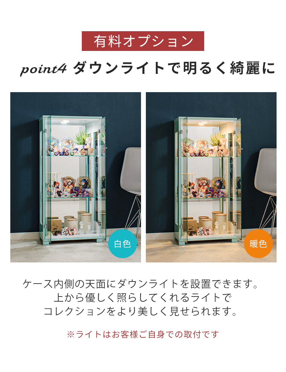 With Plan（ウィズプラン） コレクションケース 50 コレクションボード