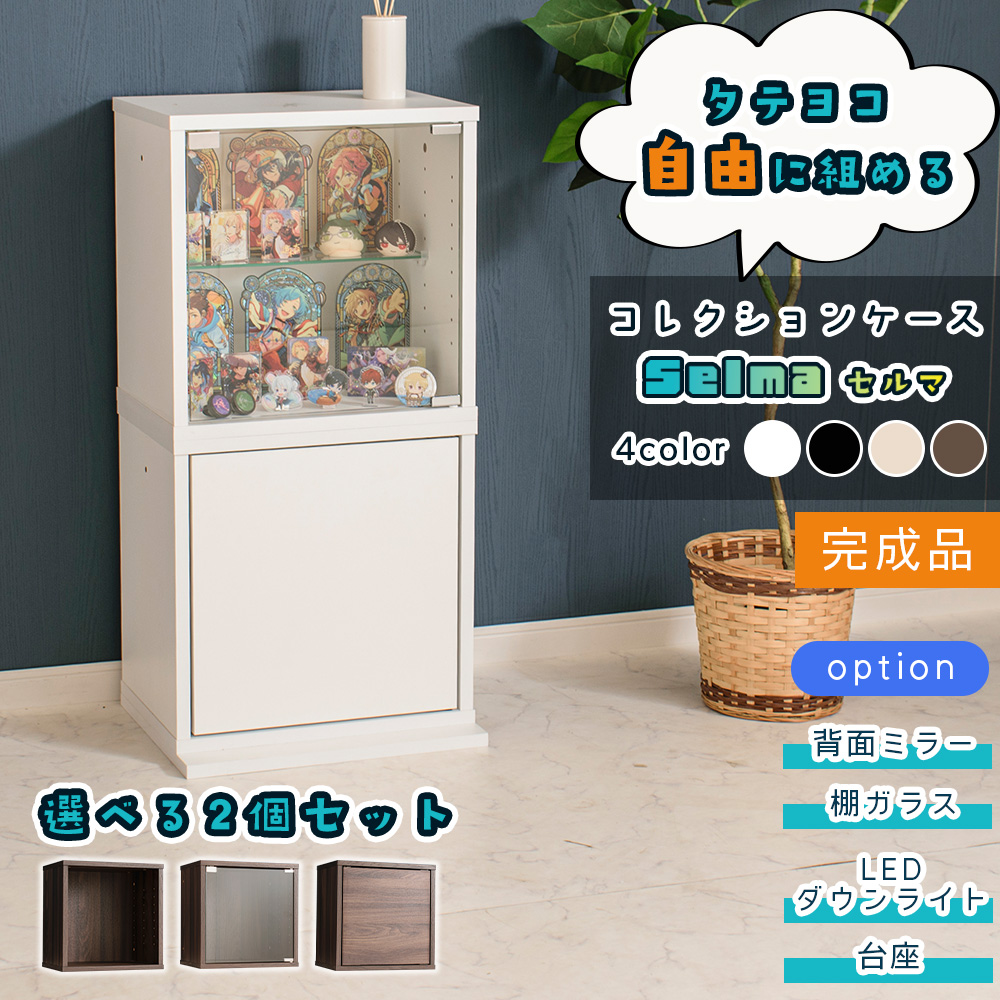 With Plan（ウィズプラン） コレクションケース 2個セット 幅42cm