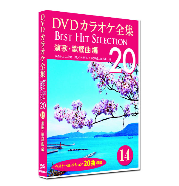 新品 DVD カラオケ全集14 BEST HIT SELECTION 演歌・歌謡曲編 (DVD) DKLK-1003-4