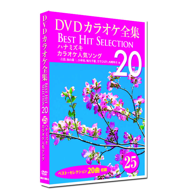 新品 DVD カラオケ全集25 BEST HIT SELECTION カラオケ人気ソング (DVD) DKLK-1005-5｜csc-online-store