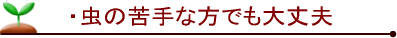 虫がわかない カルセラ ベランダ ガーデニング