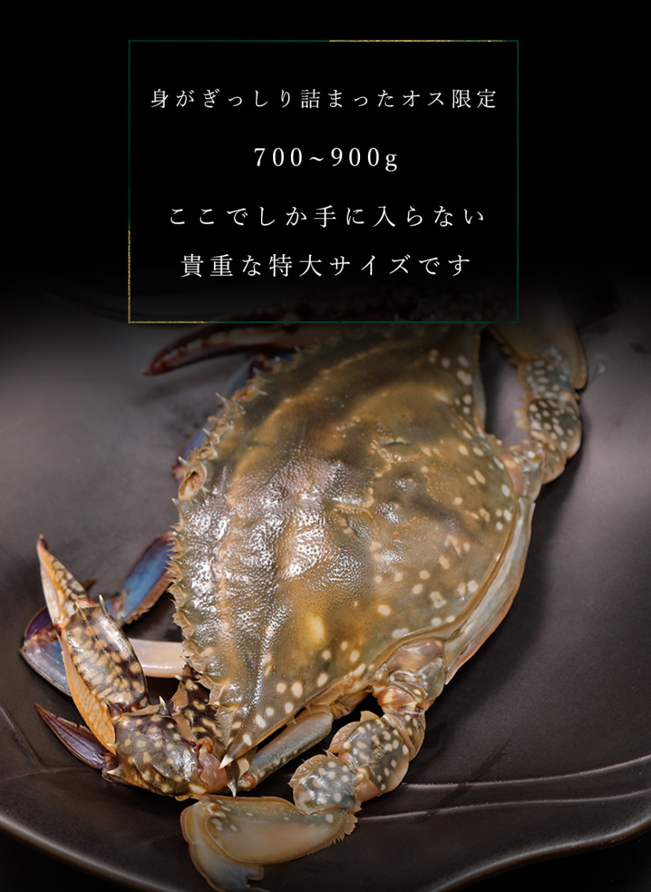 ワタリガニ オス 旬 渡り蟹 カニ 蟹 冷蔵 しまなみ 瀬戸内 広島県 特大 天然 活締め 蒸しサービス カニ酢プレゼント Kani Mihara 02 Culinary Art 通販 Yahoo ショッピング