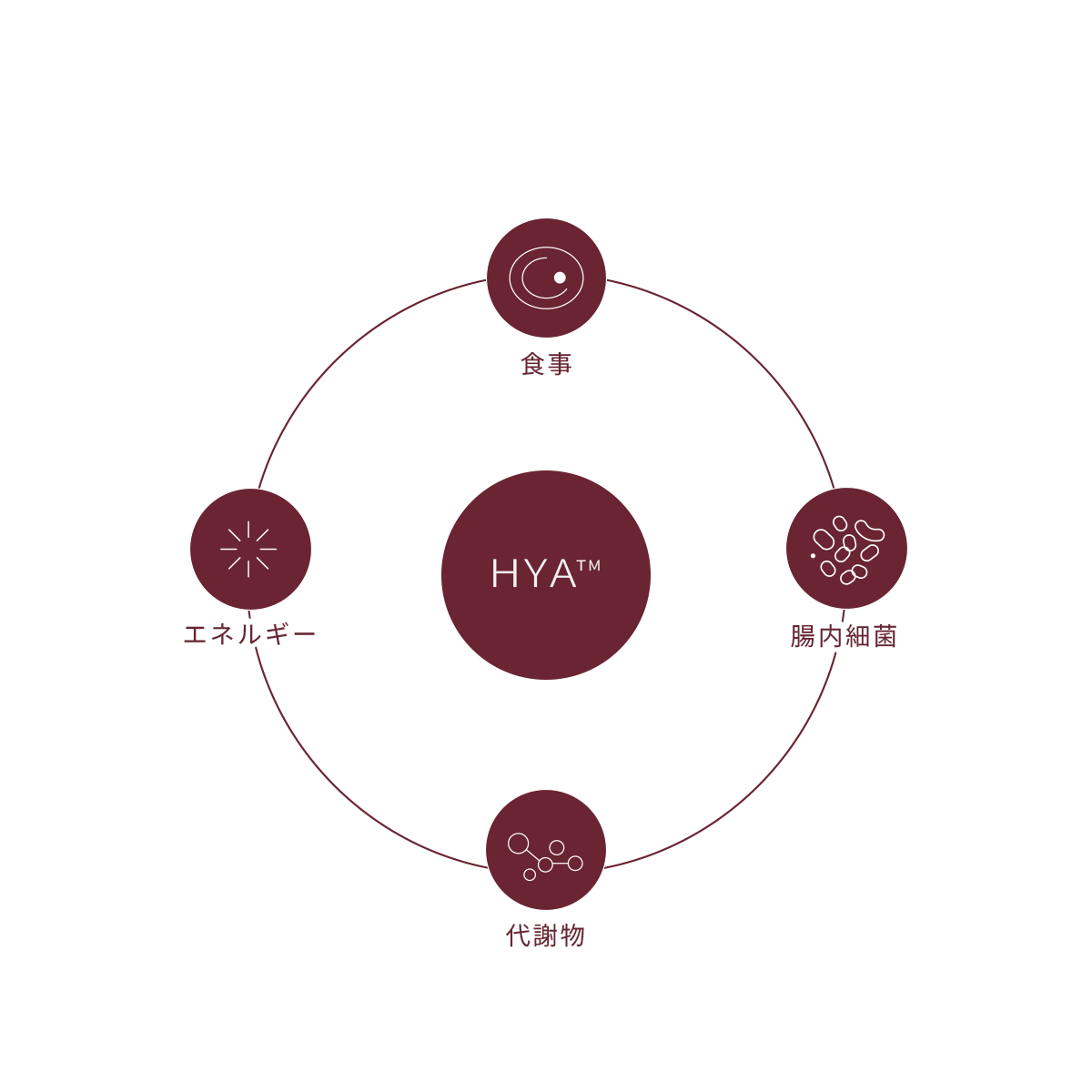 CUMEC （キュメック）HYA-50F｜180粒（約20日分）機能性表示食品｜代謝