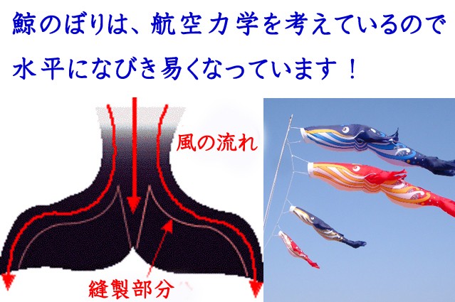 浮く秘密