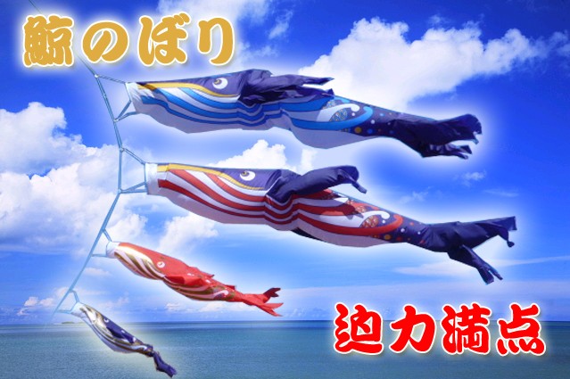 鯨のぼり全体