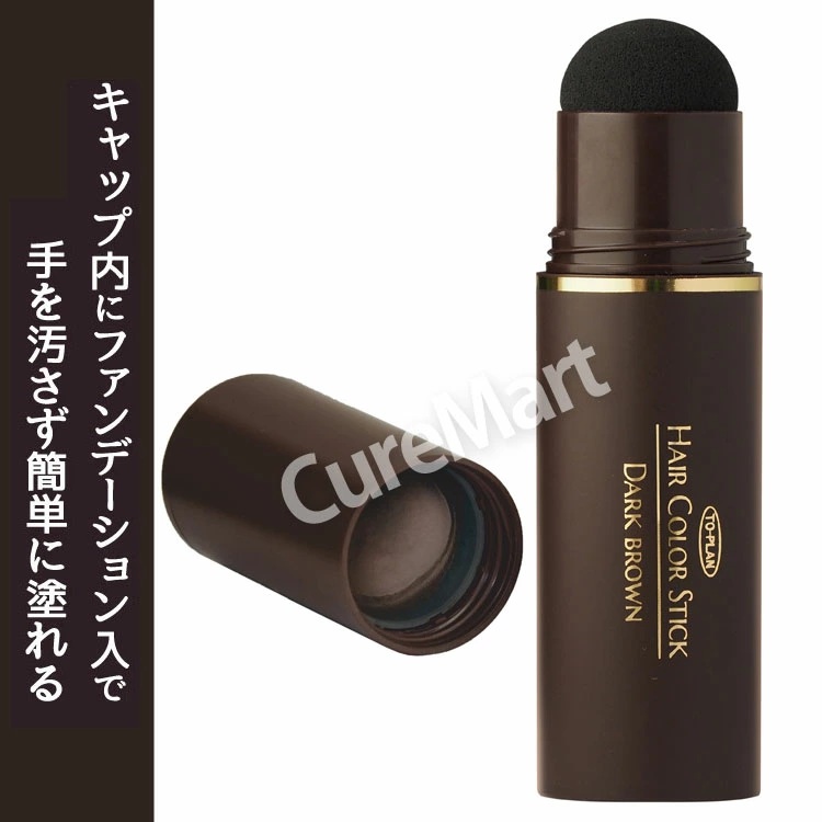 take 10個 ヘアシャドウ ヘアパウダー ダークブラウン ミラー付き take