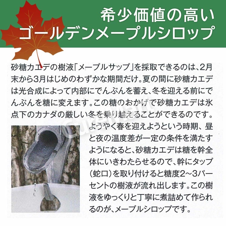 有機メープルシロップ