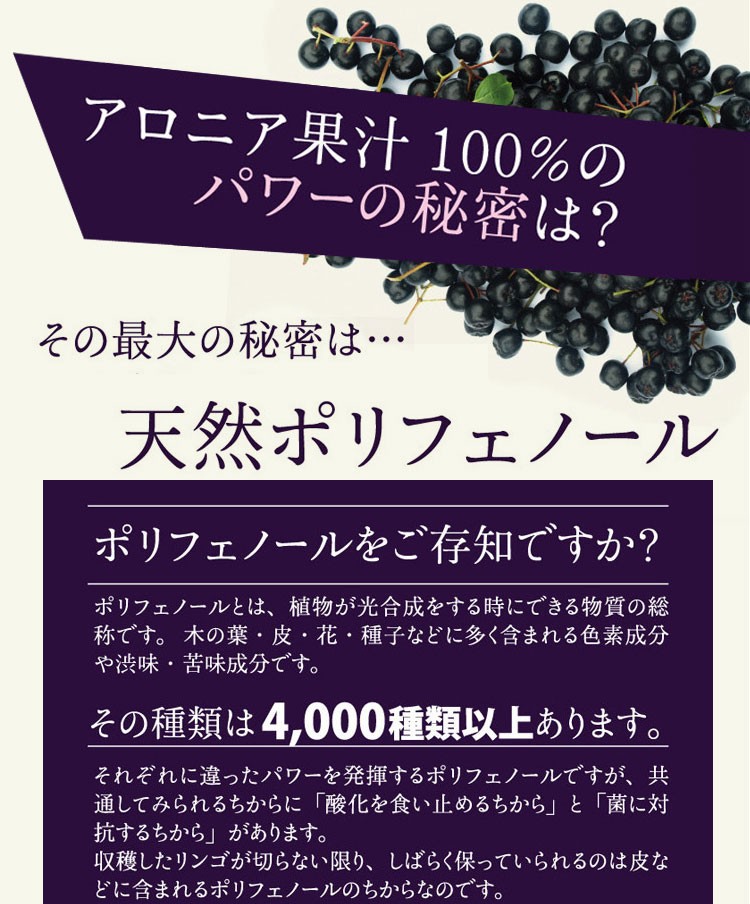 専用です。アロニア5kg ふわっと削ってみま専科 / A-77752 | アーネスト株式会社
