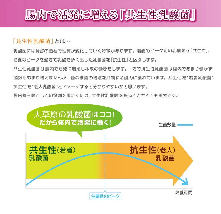 モンゴル大草原の乳酸菌 NS-Slim コスミックエナジー研究所
