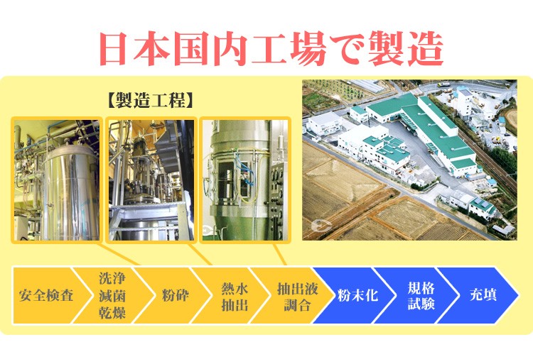 インターナチュラル 30包 日本製 2020ver. INTER NATURAL 高分子植物性 