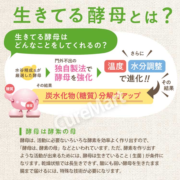ととのいフローラ 生きてる酵母と乳酸菌 30包◇2箱セット 日本製 日建