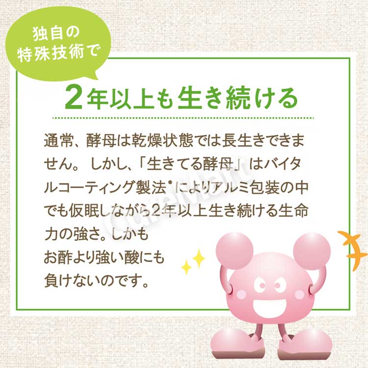 ととのいフローラ 生きてる酵母と乳酸菌 30包◇2箱セット 日本製 日建