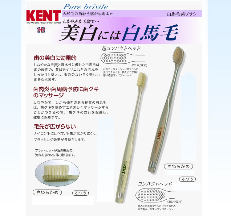 新品送料無料 KENT 白馬毛歯ブラシ やわらかめ 超コンパクトヘッド 6本セット KNT-0132