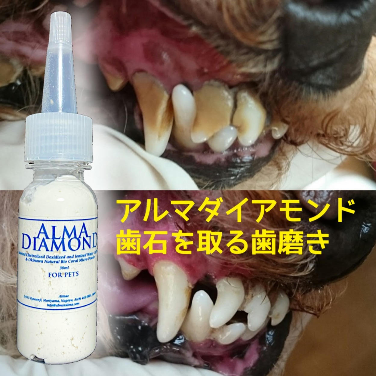 犬 猫 ペット 歯石除去 アルマダイアモンド 30ml 1本 歯石とり 口臭