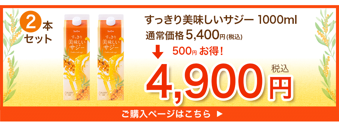 すっきり美味しいサジー 1000ml 2本セット 鉄分補給 SajiOne サジージュース オレンジ ゆず 美容