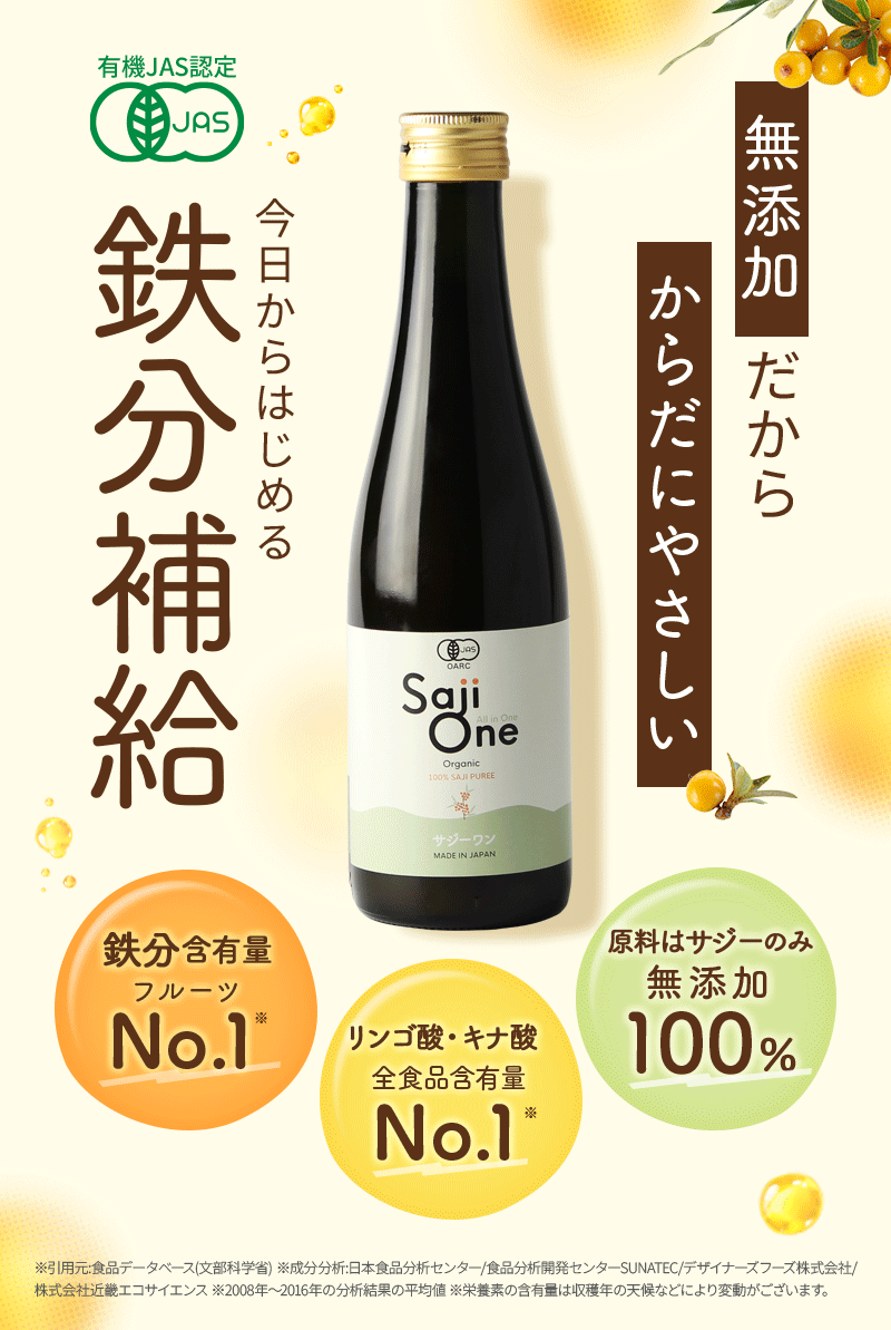 サジージュース 300ml サジー SajiOne 100％ 有機JAS認定 シーベリー