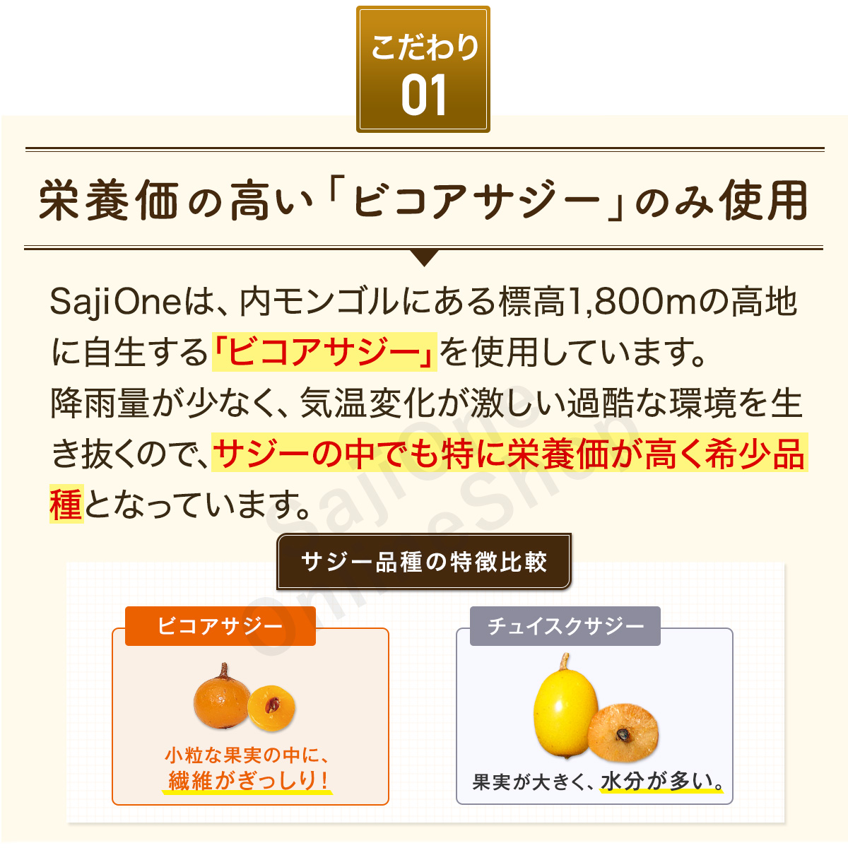 SajiOne サジージュース 900ml 6本セット サジー 100％ ジュース 鉄分