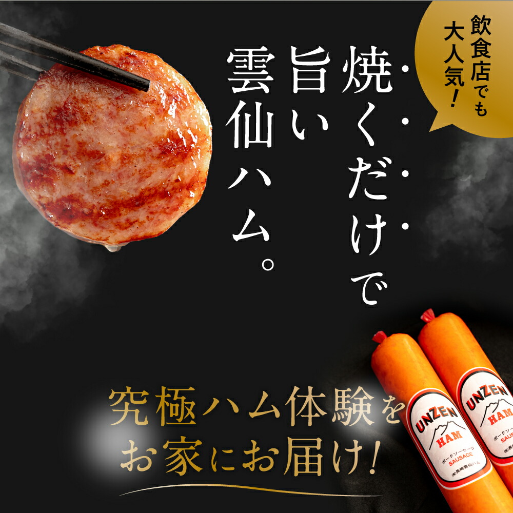 雲仙ハム ギフト セット 800g×2本 ボロ...の詳細画像4